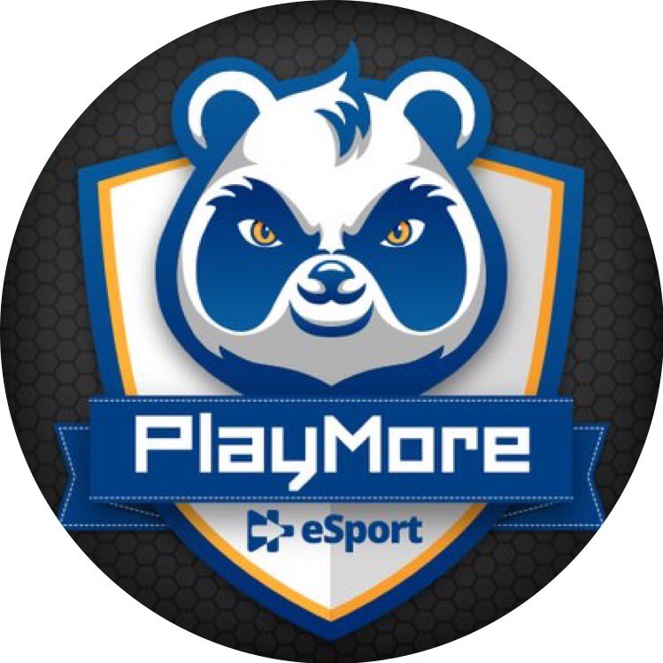 PMS_Paladins's tweet photo. #NouvellePhotoDeProfil https://t.co/advbSHPt4I