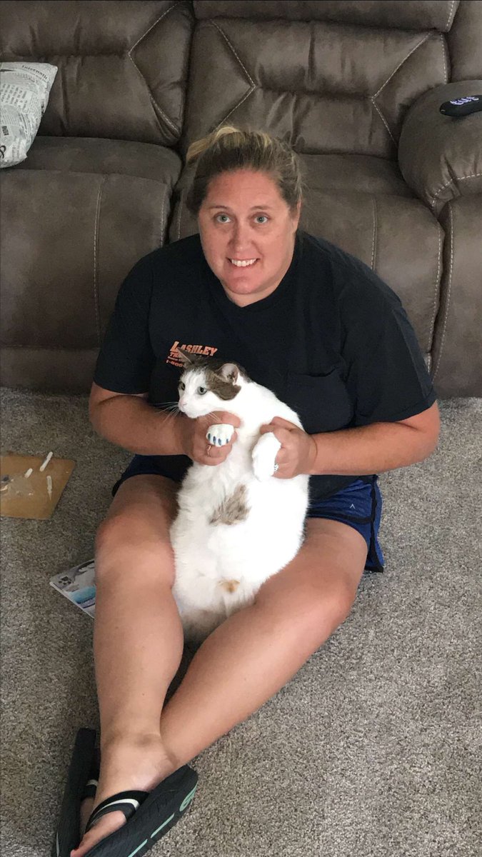 mindybethford's tweet photo. Giving Whiskey cat his first pedicure!! #heispissed #pedi #nocatwasharmed #bluenails https://t.co/yxjFRz931B