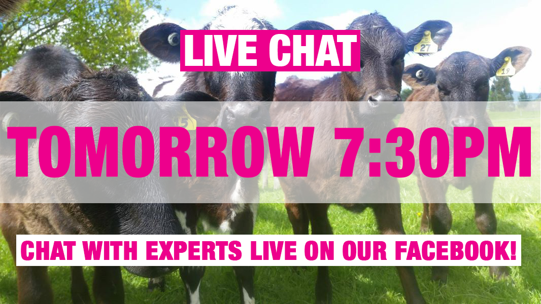 Dairy Women's Network tweet media