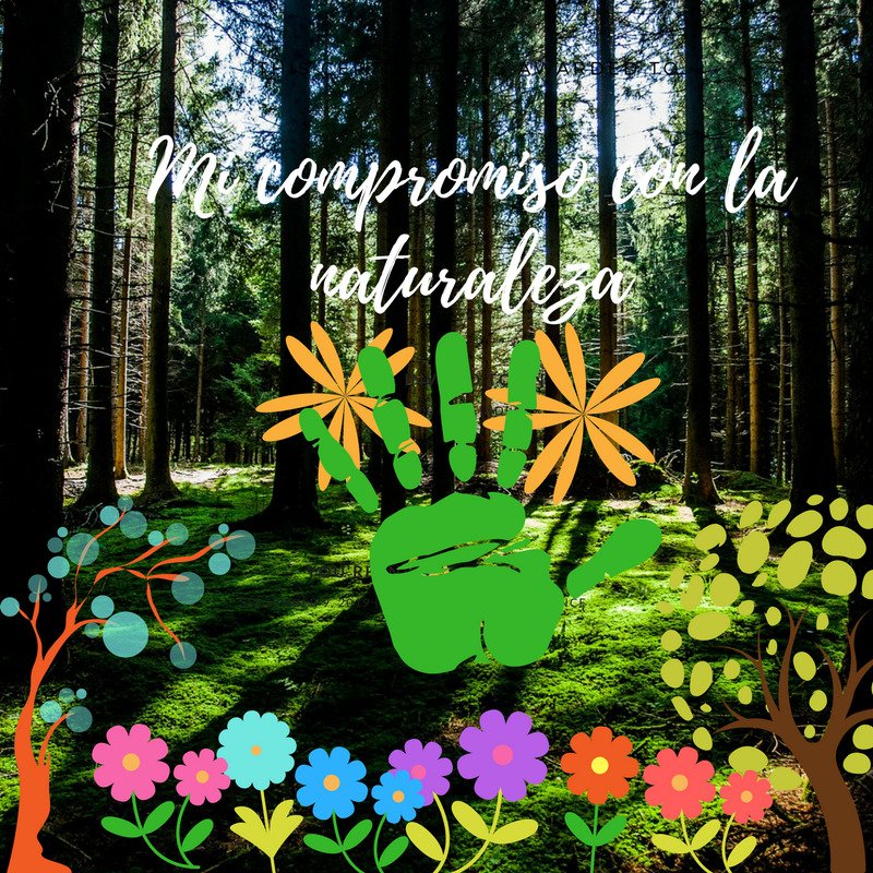 TapiaYeiko's tweet photo. #MiCompromisoConLaNaturaleza
#YoLeo
#UEST
#IshaanAwastih https://t.co/2OxAQ9KS4d