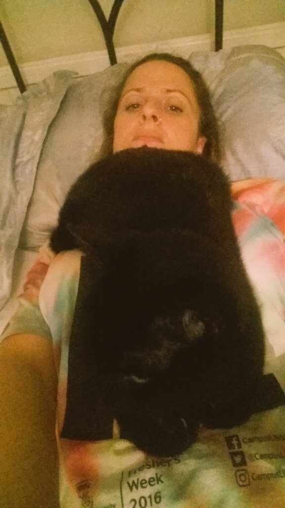 jodiekatel's tweet photo. Cat showing me who's boss on #InternationalCatDay ...just in case I didn't know #assinface @gman120183 https://t.co/xIfB8xG0bS