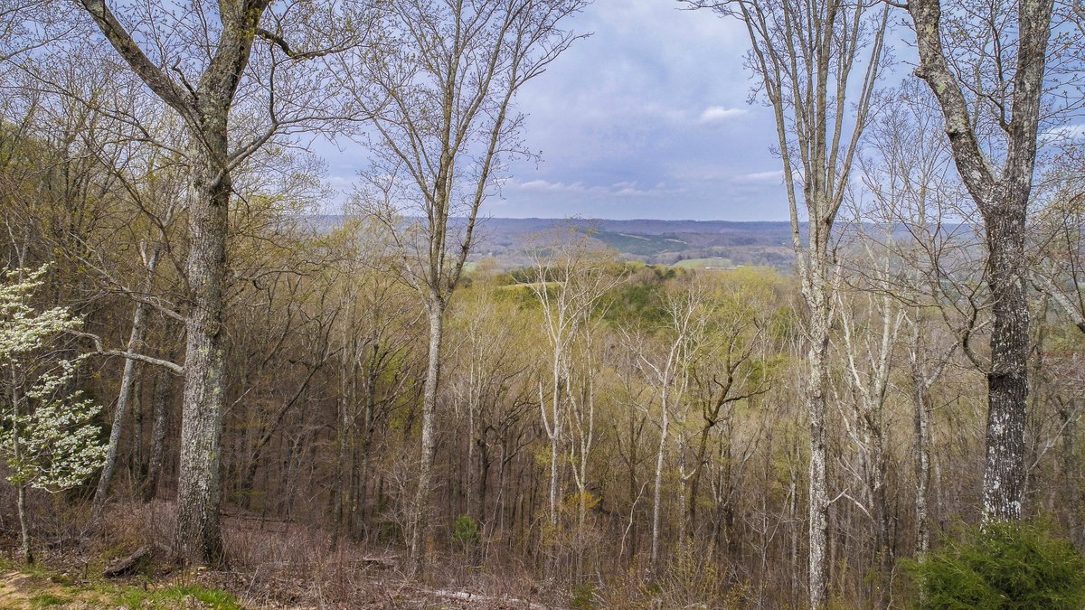 burttina's tweet photo. Inside the city limits of Fort Payne, AL on 8.5 acres of land #ohr #tinburt #fpre https://t.co/3gbIfpQTmN