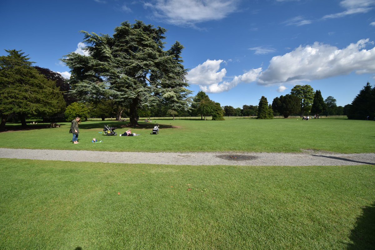 Once the rain cleared, <a href="/phoenixparkopw/">Phoenix Park</a> turned on the sunshine this afternoon. Glorious day in the park!
