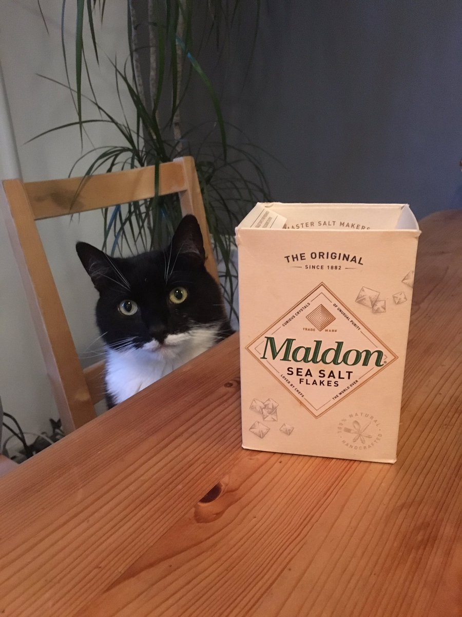 #InternationalCatDay <a href="/maldonsalt/">Maldon Salt Co.</a>