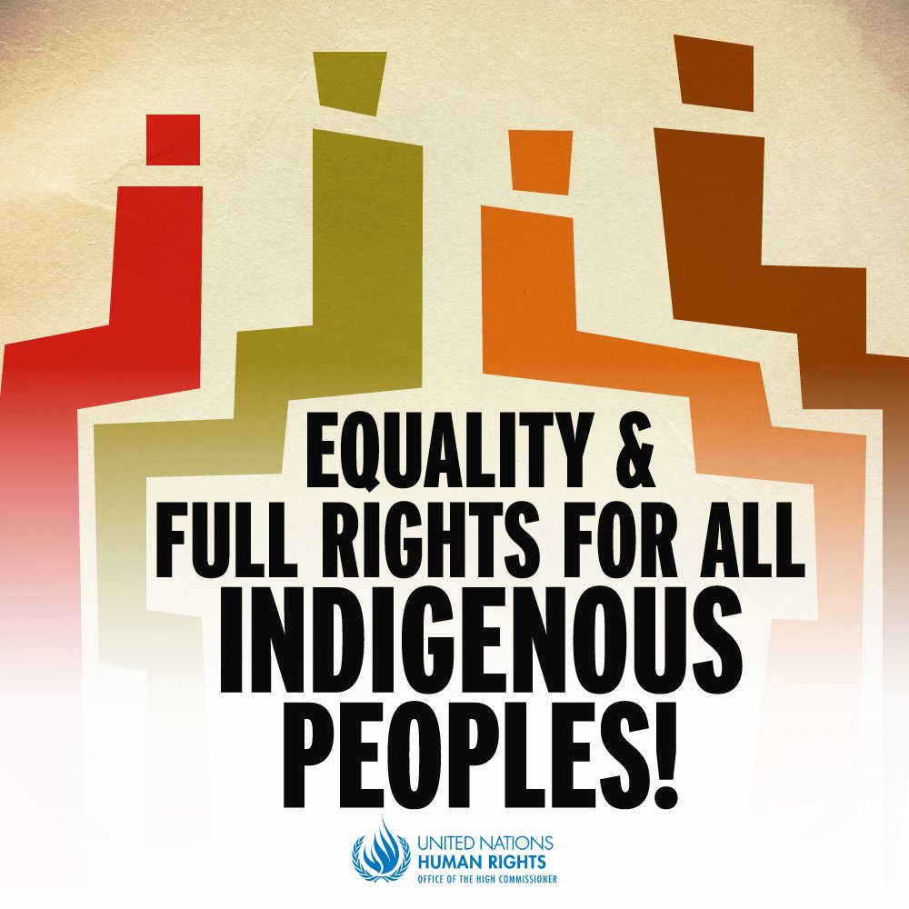 UNHumanRights's tweet image. States must act now to deliver equality &amp;amp; full rights for all indigenous peoples - UN experts ow.ly/JbOg30efJ2v #WeAreIndigenous