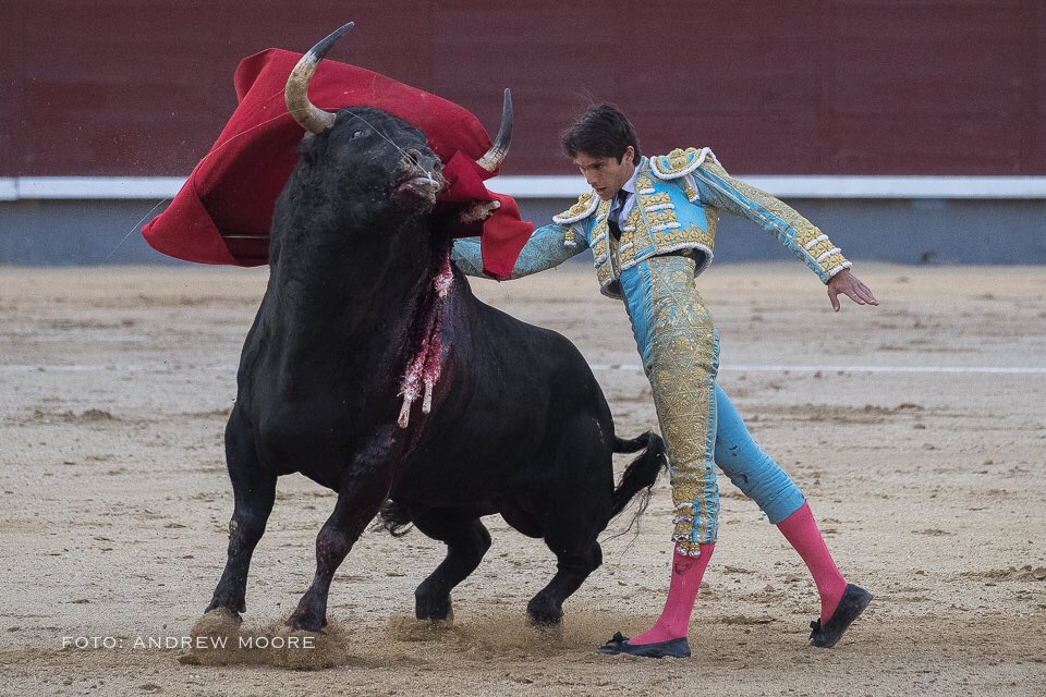 Jandilla (@jandilla1951) on Twitter photo 