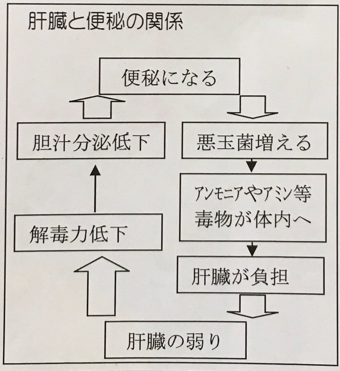 こつめ先生13 日本漢方 大阪守口市 Pa Twitter 神田沙也加さんの彼氏 村田充さんは 漫画家小林まこと作 それいけ岩清水 のリアル岩清水ではないか O ﾟ ﾟ O