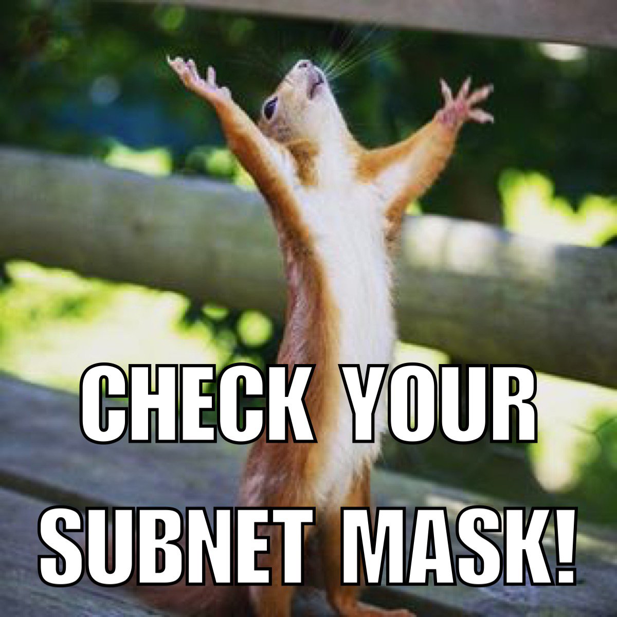 jimonlight's tweet image. #ACNSquirrel says:
“CHECK YOUR SUBNET MASK!”

#sacn #subnetmask #subnetaddress #subnet #lightinglife #lighting #livingthedream