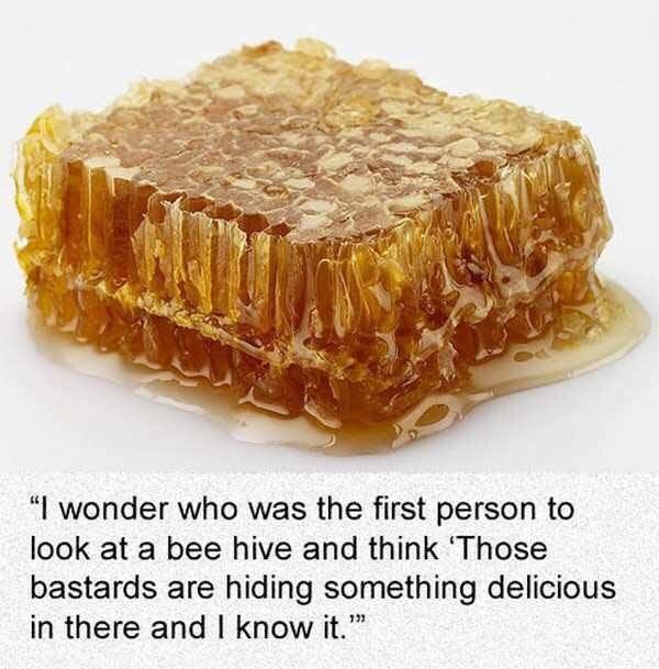 BC Bees Pure Honey (@_bcbees) on Twitter photo 