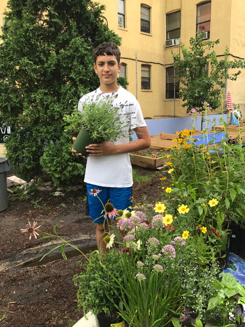 HighLineTeens's tweet photo. Green Council helped Latinos Unidos transplant their herbs and flowers and fill several of their beds with soil. #HighLineTeens #Gardening https://t.co/e0ZQJ9O3DC
