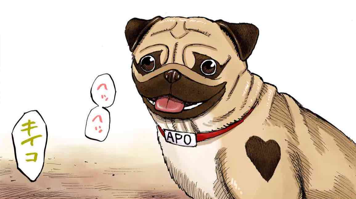 ハッ…！今日はもしかして、パグの日…！？ #パグの日