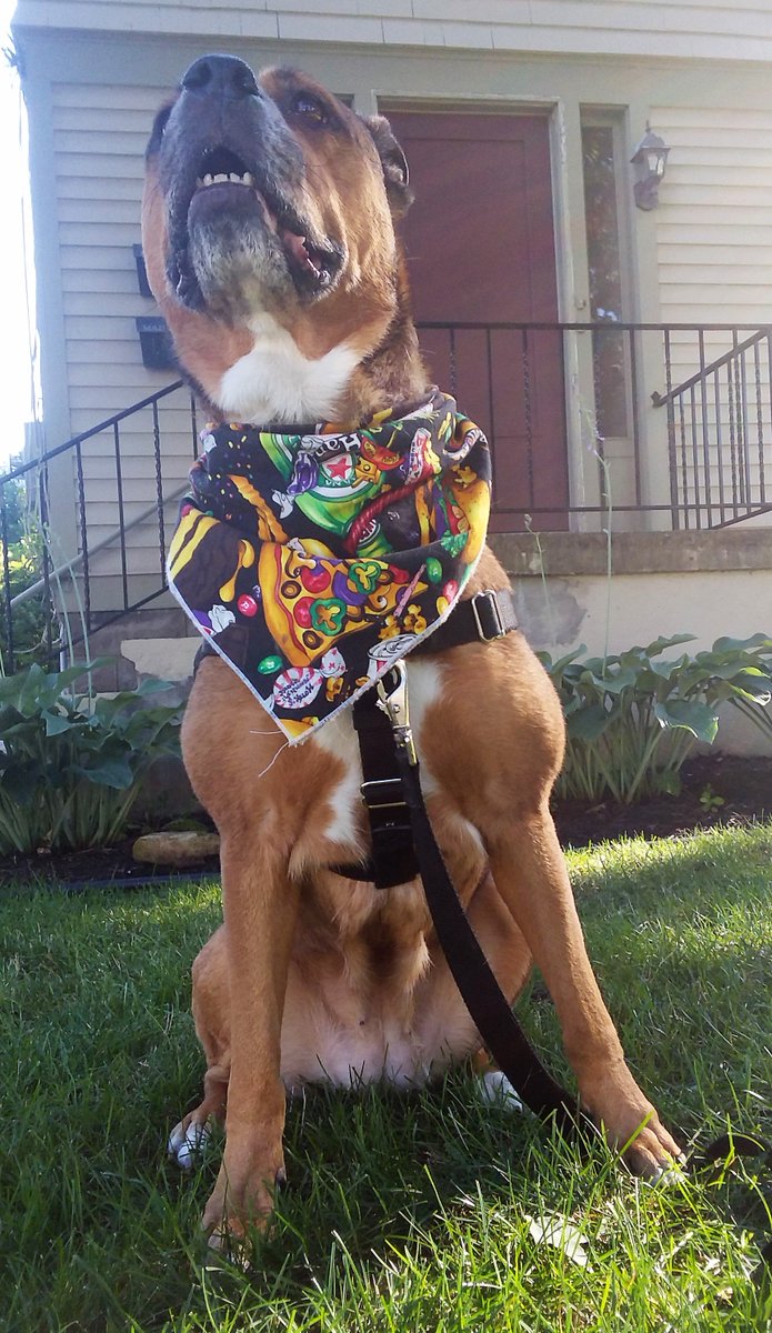 New place doesn't have as many street treats, but I am always on the lookout!