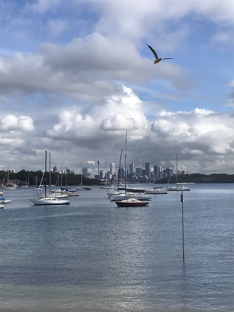 PhoenixHSL's tweet image. A fantastic day last week for our Watsons Bay Walkabout with Tim &amp;amp; Grant from #Kadoo Indigenous &amp;amp; Historical Tours. #motherearth