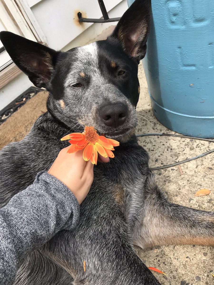 lexmenendez's tweet photo. Tried having a photo shoot clearly someone got dramatic.. https://t.co/erFBIr0oCa