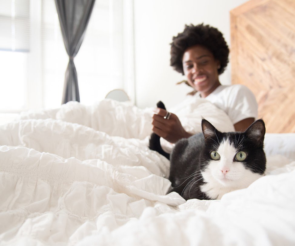 mybedspoons's tweet photo. Happy Happy Cat Day. #internationalcatsday #CatsOfTwitter https://t.co/wXwxpH6RXc