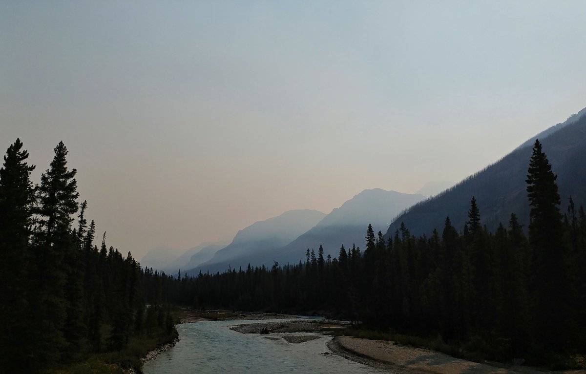 tennis45luv's tweet photo. Despite the smokey conditions, Kootenay NP was still amazing! ❤ #Canada150 @KootenayNP 
@ParksCanada @NP_Geek https://t.co/X05IfAGdDU