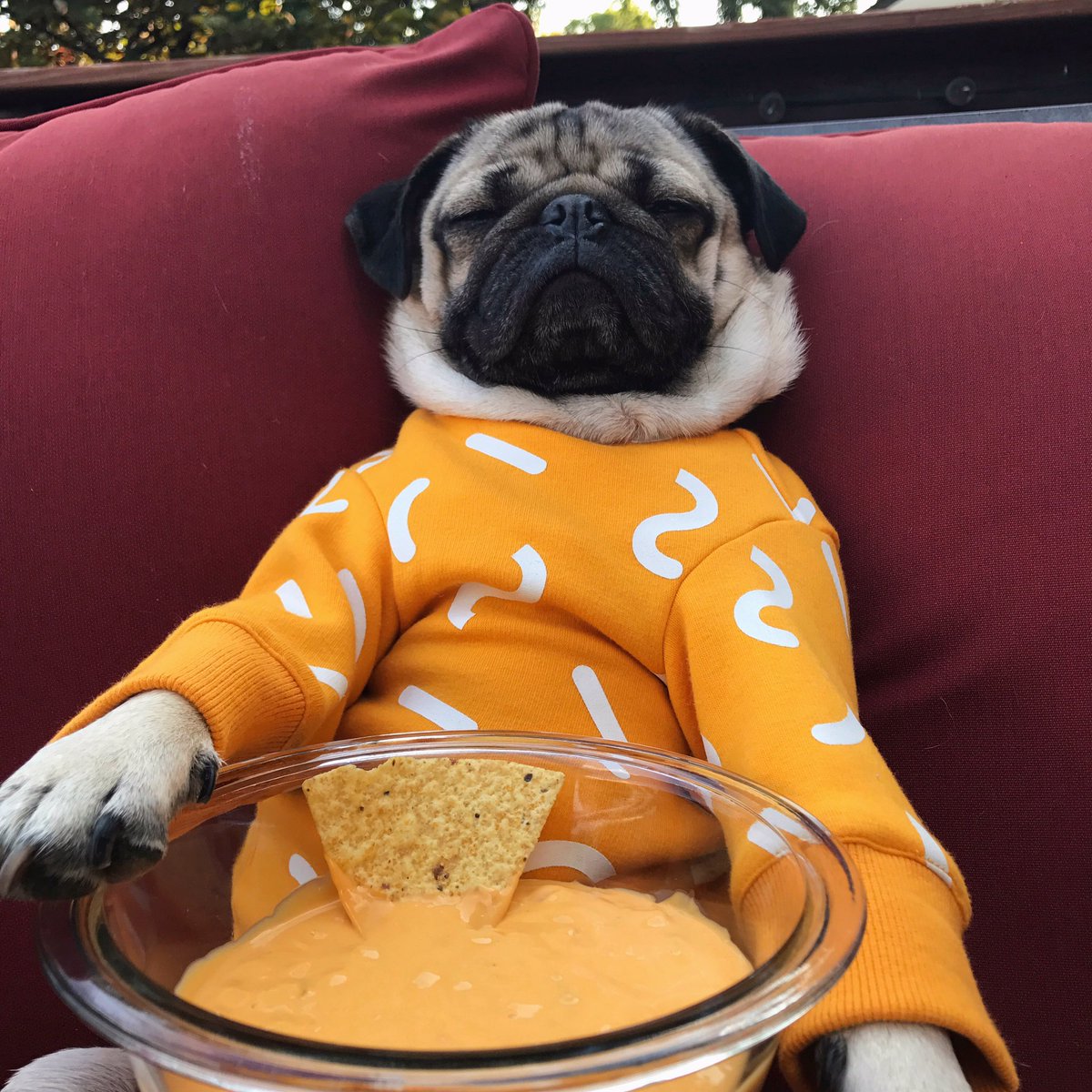 I could eat a whole case of queso 🧀