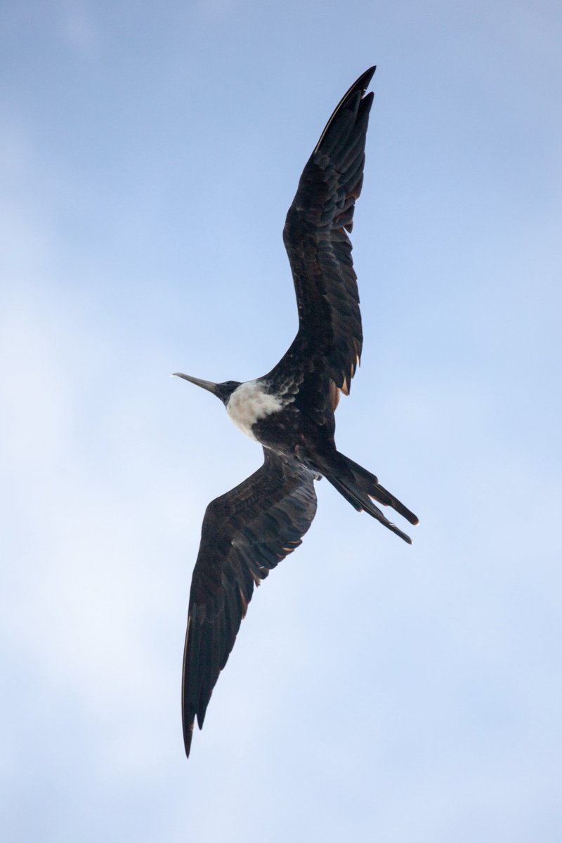 matt-biddulph-mattb-twitter