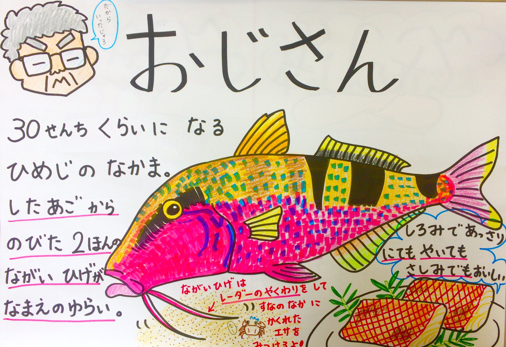 職員室の坂本さん クイズの答え ぺろんとめくると裏に書いてあります 魚好きな子が増えるといいな W 答えは きつねとおじさんでした イラスト 魚 クイズ 水族館 T Co Brsklr1ow4 Twitter