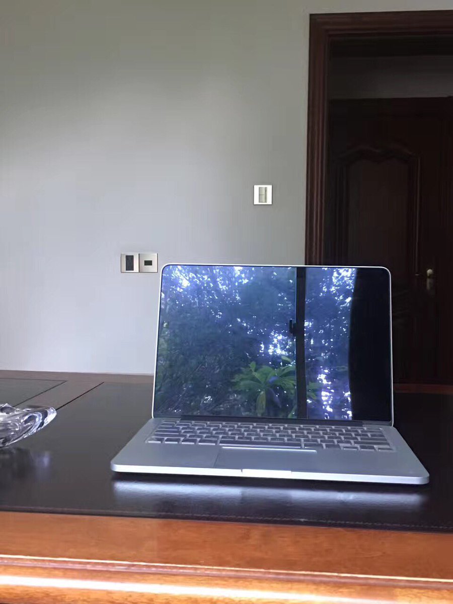 投射在屏幕上的树和树的叶子，被遮蔽的当然是刚写下的文字。现实的经历，从来都是在被经历的同时被消解、被以倒影的方式呈现，而文字才可能成为直观，哪怕它是被隐藏的。