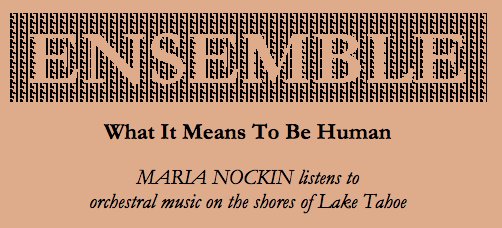 ClassicalTahoe's tweet image. &quot;The Classical Tahoe Orchestra...presented a wonderfully translucent interpretation of Milhaud&apos;s multi-faceted piece&quot; Le Boeuf sur le Toit.