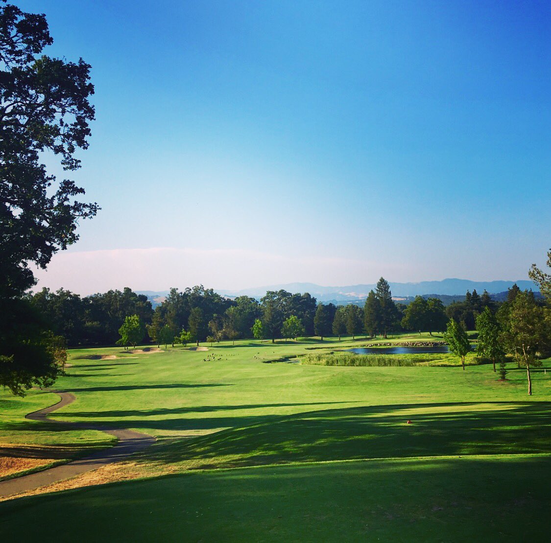 KKelley_golf photo