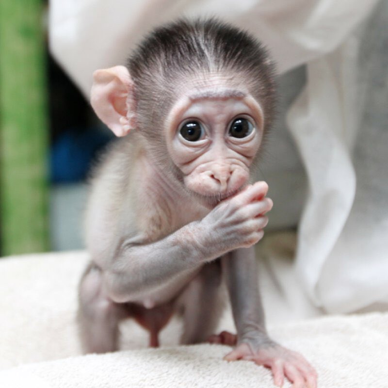 @brendak32405 @Jana3990 <a href="/alkhateeb/">abdalkareem alkhatib</a> @cc_chicco <a href="/TaposKumarBasu/">⭐✳️🇮🇳तापोस🇮🇳✳️⭐</a> <a href="/SuFernandes68/">Sueli Fernandes</a> <a href="/BrettCateley/">ifb</a> <a href="/CandiceMassa/">Candice⚘🖖🏼🐺</a> <a href="/FrasersRidgebr/">Grupo Frasers Ridge Brasil</a> <a href="/pantone213u/">Magenta</a> @227eada8efa54eb @CristinPereyra <a href="/LFSRS/">Luciano</a> <a href="/carolin62104956/">carol-inna</a> <a href="/RakeshS75893991/">Rakesh Sharma</a> <a href="/al_fares5/">al_fares</a> <a href="/mimmoventura/">Domenico Ventura</a> @kazurin4428 @pabupabupbgv1 <a href="/shinunao2/">naonao shakura🌸🌸🌸</a> <a href="/Zhbabar05/">Zohaib Babar 🇵🇰</a> <a href="/Cris_Abdalla/">Cristiane C. Abdalla</a> <a href="/SimplesmenteSyl/">💄💋🍓SYL🍒👠🍷</a> <a href="/Mmep3/">Mmep</a> @Veilleu_Claud <a href="/07rubens/">Ruben krrtro</a> <a href="/CeciliaAraven/">Cecilia Aravena</a> <a href="/lfmartin_s/">Luiz  Marins</a> <a href="/WALLI27/">Jhon f perez🎶🎸🚵☯🎄🎀</a> <a href="/Daisy284762327/">💕 Daisy2 💕 LOVE #LV 💕</a> <a href="/Quinnqueens/">Quinn 💛(G.Quinn Rogers)</a> <a href="/angelicagallegs/">🇧🇷 ♫J.Angelica G. Gallegos♫🇧🇷</a> <a href="/YaTengoCuenta2/">ya tengo cuenta</a> <a href="/eshahan345/">Esha💕💕Khan💕💕</a> <a href="/CharsWings/">CharsWings</a> <a href="/hakim3220/">Hakim</a> <a href="/Lidija_Kojic/">Lidija Kojic</a> <a href="/windiyok/">windiy octaviani</a> <a href="/molson_merlin/">Wayne Thomsen</a> <a href="/ivymarina1/">.</a> <a href="/ifarmlife/">ifarm</a> <a href="/ini/">Eunhee yi</a> <a href="/Indi_Amour/">♛ I*N*D*I*A*N*A ♛«</a> <a href="/isamuuran1316/">浩子</a> <a href="/_catkitty/">K✨C✨J</a> <a href="/cattina3/">❤Cat❤FHC3❤🦄</a> <a href="/CNikla/">Chal Nikla</a> <a href="/Silau25/">♡Silvia♡</a> 😂