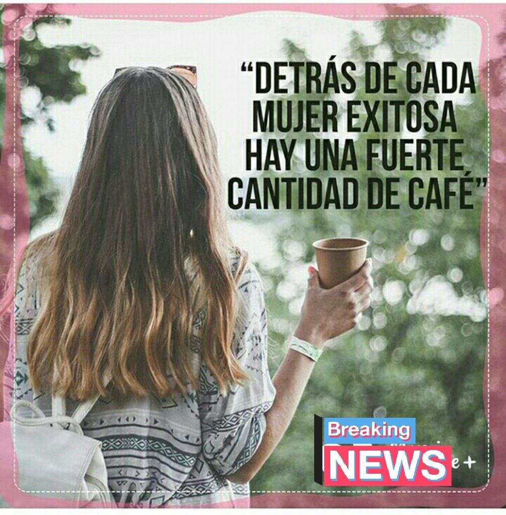 MundoCafeto's tweet photo. https://t.co/GGw7rc2CYV