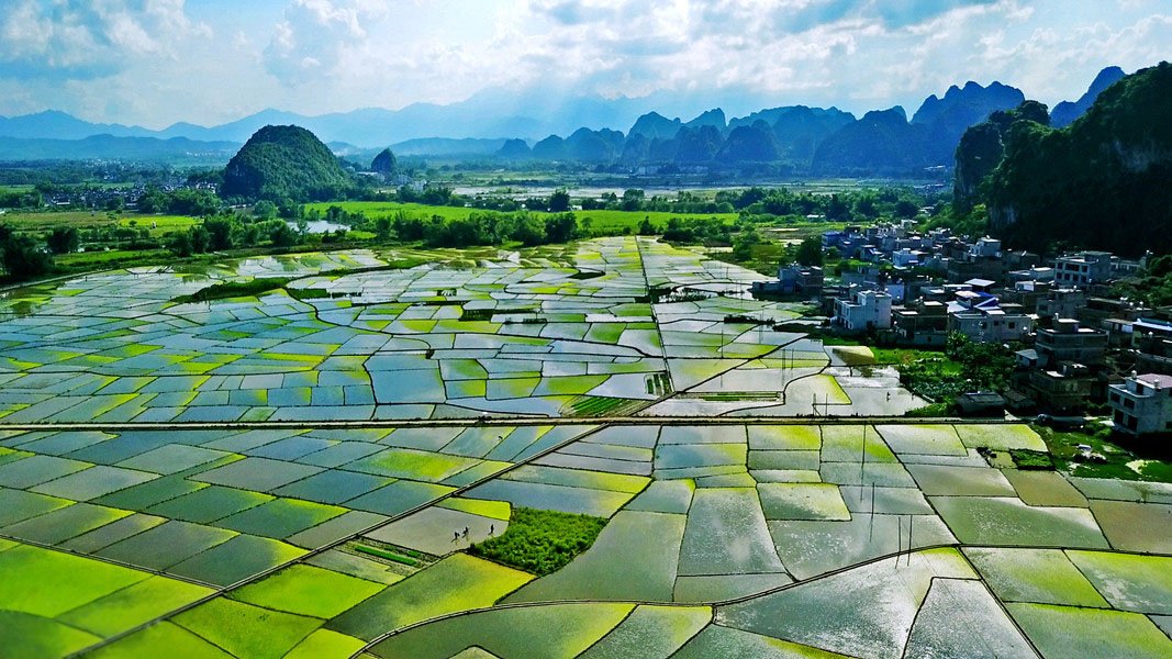 Beautifulgx's tweet photo. Beautiful idyllic scenery，like a poetry and painting，here is Sanliyangdu of #Nanning,China.☺️☺️🌱🌱 https://t.co/Tk3gV5lxQf