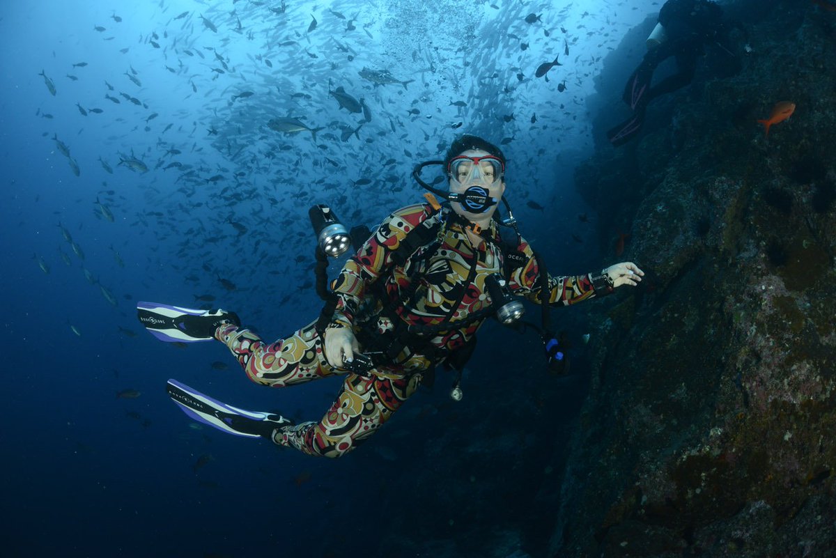 cocosislanddiving tweet media