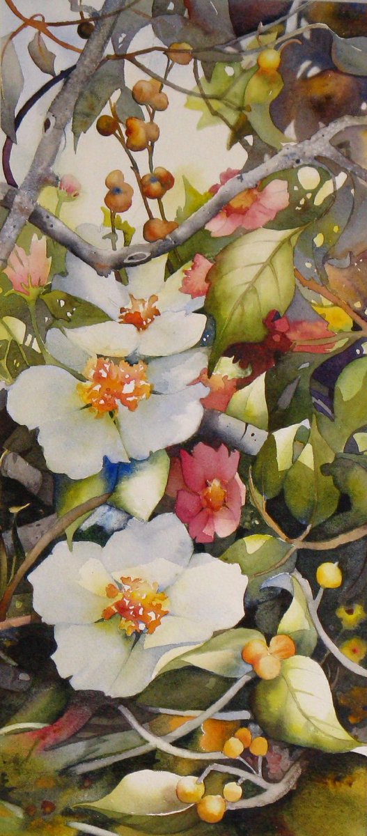 CGdrawing's tweet image. Barbara Groenteman