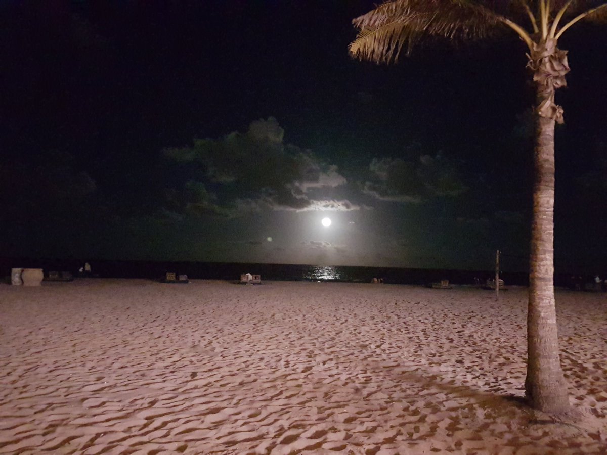 TalhaAisham's tweet photo. Had I told the sea what I felt for you, 
it'd have left its shores, 
its shells, 
its fish 
and followed me https://t.co/o1PJ2ROXhH