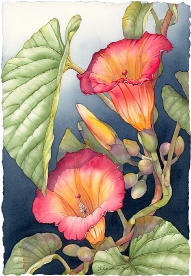 CGdrawing's tweet image. Barbara Groenteman