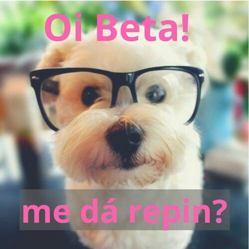 CibeleCorre's tweet image. #betaquelab