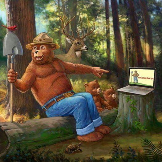 SoCalUSFS_Fire's tweet photo. Everyone can share experiences & stay connected w/ their local forest through social media https://t.co/Bd3md18QTG #Almost73 #BirthdayBear https://t.co/b2UBoWlAoF
