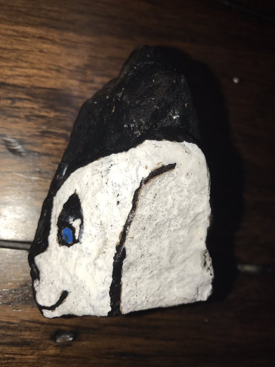 605Rocks's tweet photo. Rocks planted for @DockDogsINC competition in Sioux Falls #605rocks #dogjumping #rockpainting #siouxfalls https://t.co/J33K14WDfY