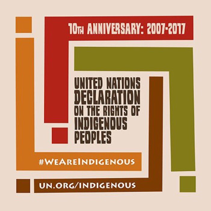 JoinFDIO's tweet image. Today: Acknowledging Indigenous Peoples' Rights around the globe;  Impatient for true recognition in Australia.
