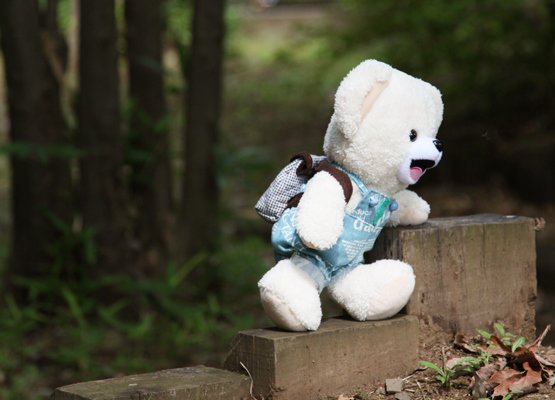 世界で1着の服を着たこちらのファーファぬいぐるみの7月当選者は下記