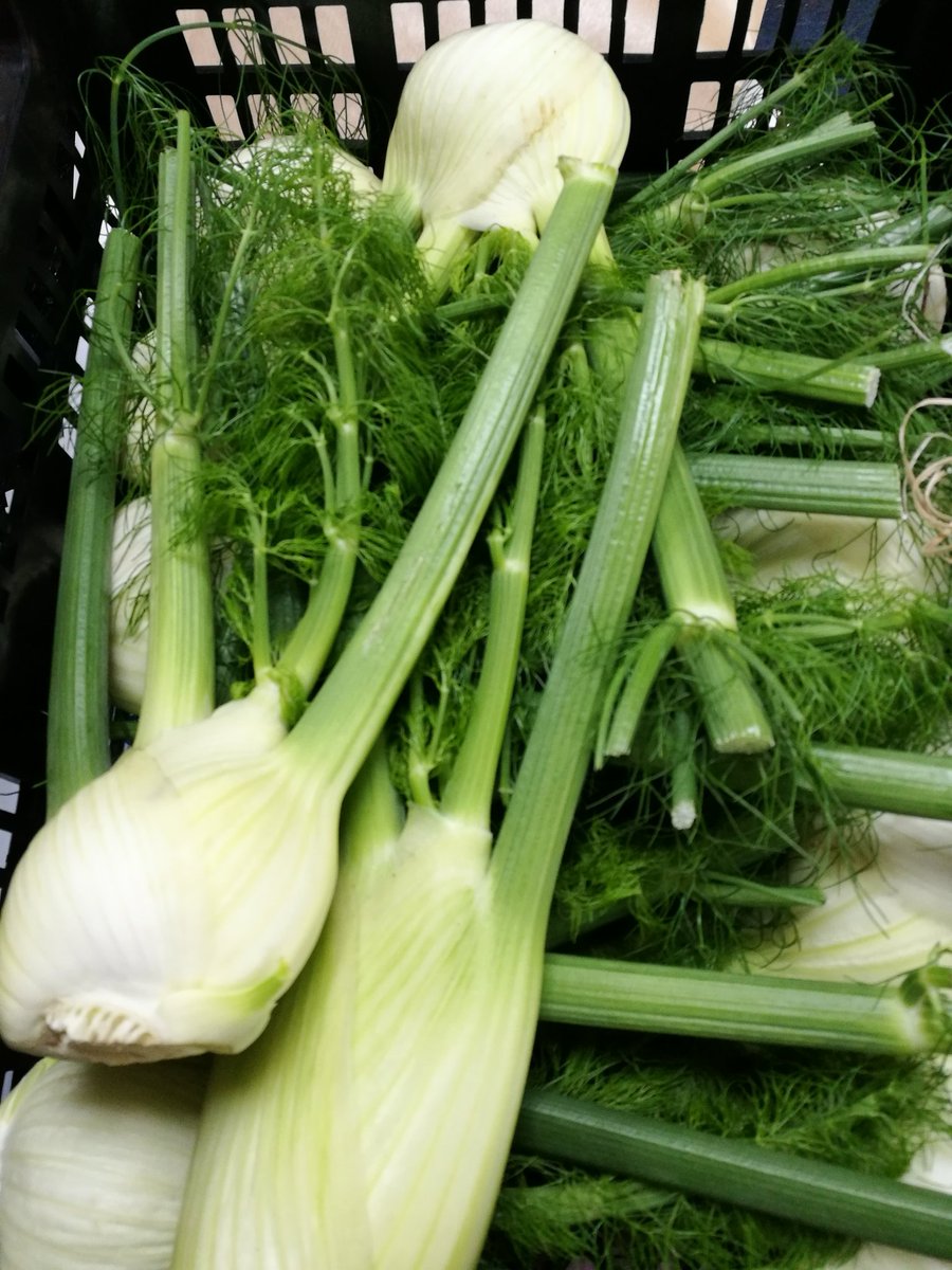 5adayFresh's tweet photo. #rainbowbeetroot #carrots #fennel #freshness #quality #Englishveg #locallygrown #yourgreengrocer #Stalybridge #Cheshire #Tameside https://t.co/xTtKdKj9Y4