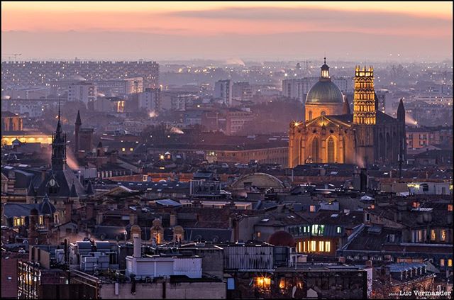 Cecily Ward tweet media