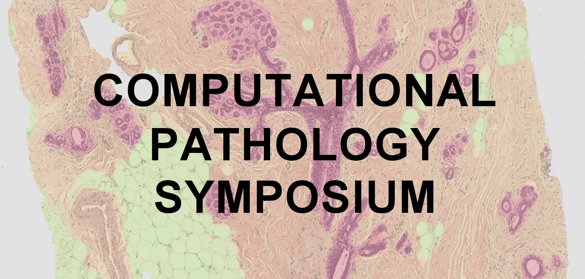 SectraNews's tweet image. Attending ECP in Amsterdam this Sep? Don’t miss out on the Computational #Pathology Symposium on Sep 3: ecp-cps.eu #digpath #AI