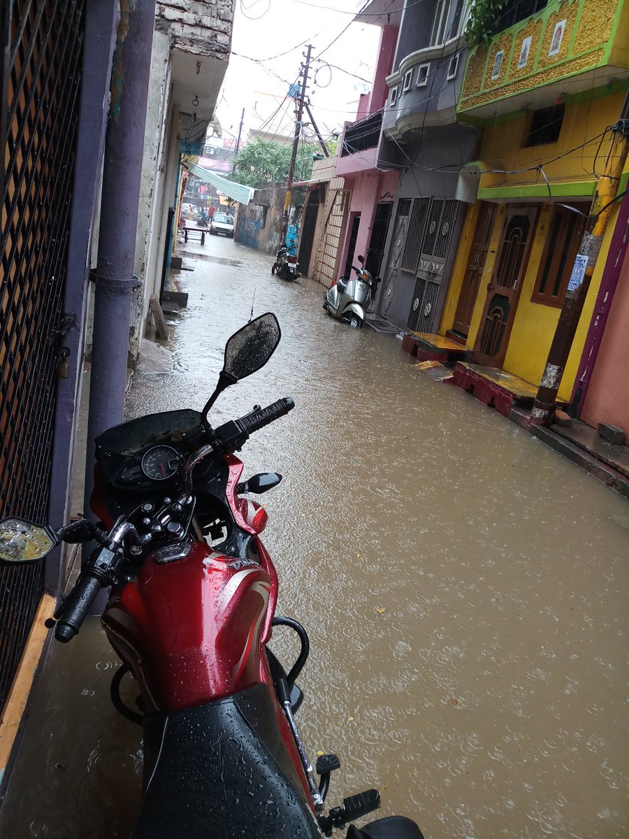 myvikasgupta's tweet image. Respected @myogiadityanath, this is the condition of bhartendu harish chandra ward lucknow. Here Parshad did nothing no sewer, road properly
