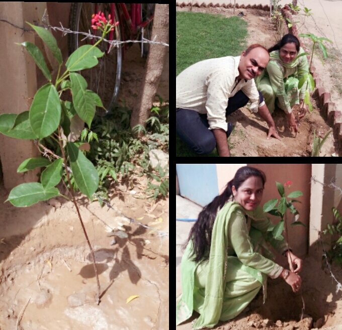 drmeena_saimi's tweet image. @Gurmeetramrahim @insan_honey 
#MegaTreePlantationDrive 
#SelfieWithATree 
🌱🌱🌳🌳🌳🌲🌲🌴🌿🍀🌲🌳🌱