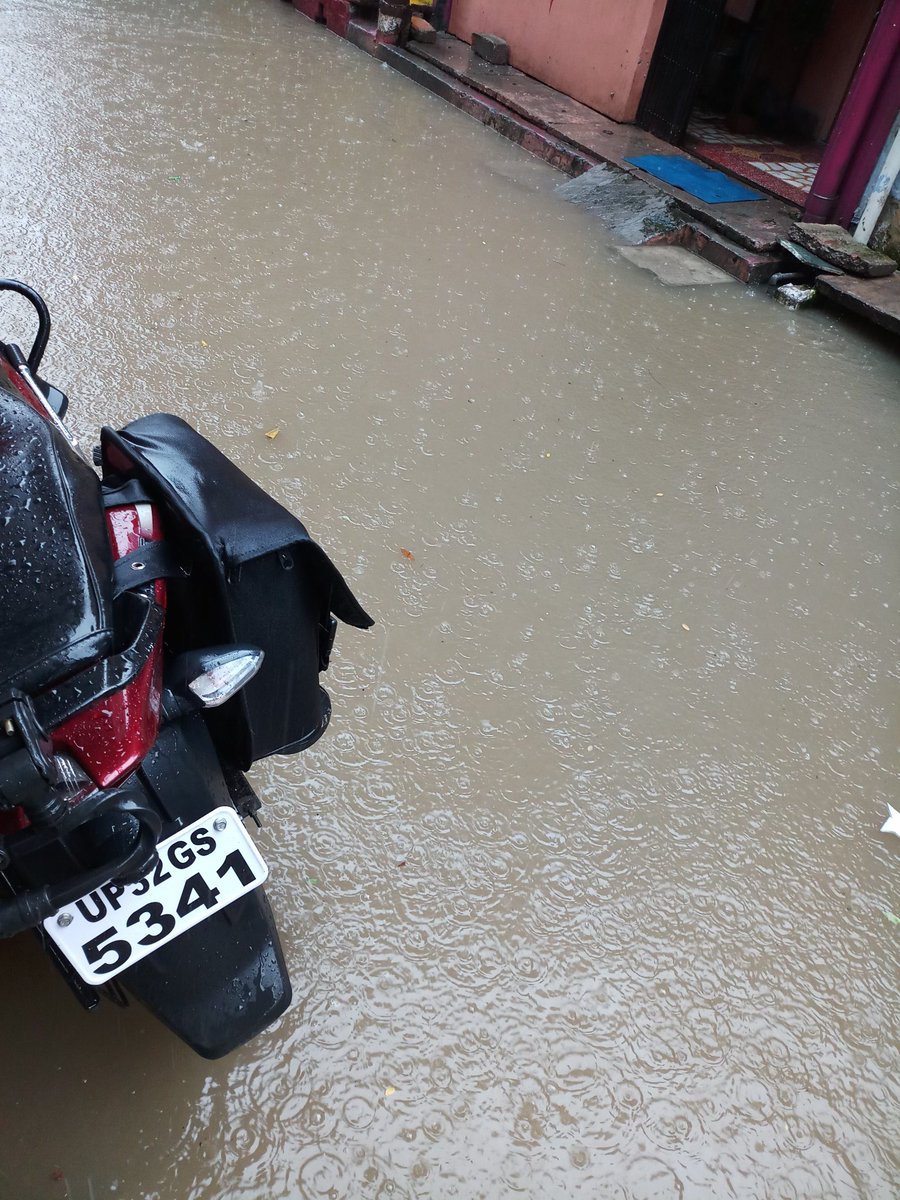 myvikasgupta's tweet image. Respected @myogiadityanath, this is the condition of bhartendu harish chandra ward lucknow. Here Parshad did nothing no sewer, road properly