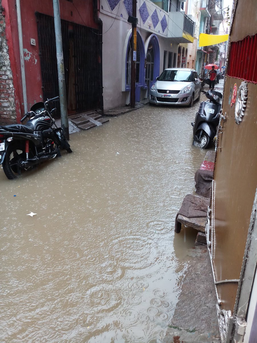 myvikasgupta's tweet image. Respected @myogiadityanath, this is the condition of bhartendu harish chandra ward lucknow. Here Parshad did nothing no sewer, road properly