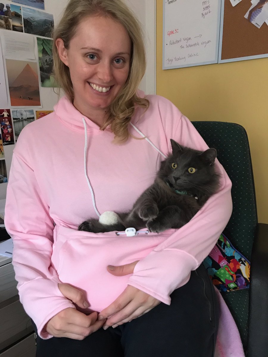 jivebong's tweet photo. #KittyRoo has arrived! Turns out both the cats hate it so it's been a great investment. https://t.co/xfKB3afFvY