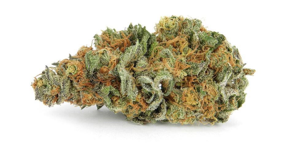 Darknet Markets Wax Weed Darknet Markets Wax Weed