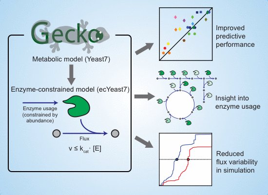 Enhancing genome‐scale metabolic models by incorporating enzyme abundances &amp; kinetics bit.ly/2uF6dVC #metabolism #Scerevisiae