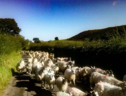 National Trust tweet media