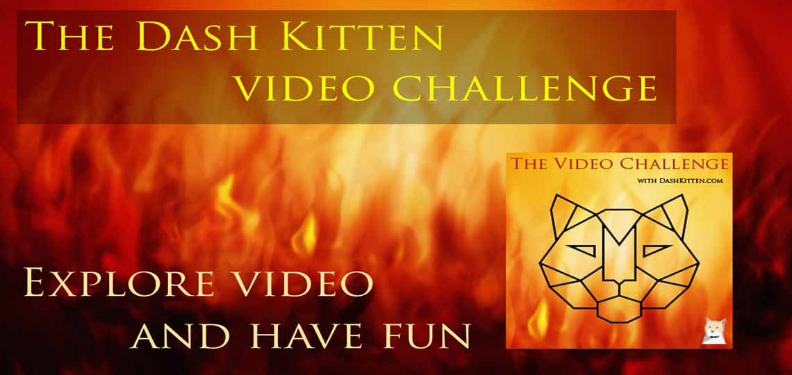 DashKitten's tweet photo. #Pet #Blogging folks Join the #DKVideo Challenge!! https://t.co/M4Wj9hZTyq Have fun, learn stuff!! #pets https://t.co/uoEx359nX4